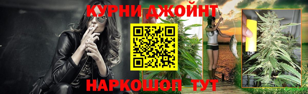 Киселёвск  Бошки марихуана конопля  Вход с VPN  Каннабис LSD WEED  Шишки марихуана план 
